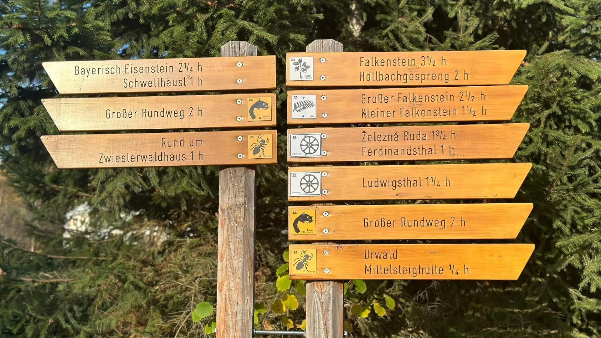 Homestay Zwieslerwaldhaus4 (Adults Only) Lindberg